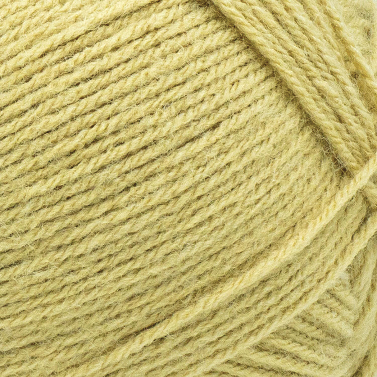 Lion Brand Pound of Love Yarn
