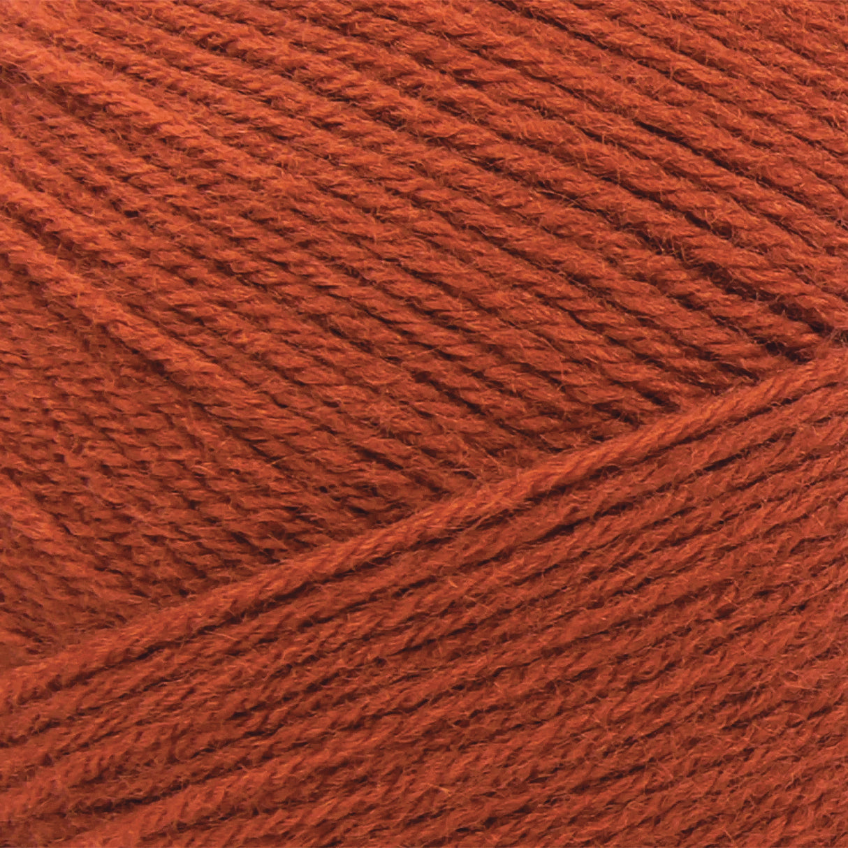 Lion Brand Pound of Love Yarn