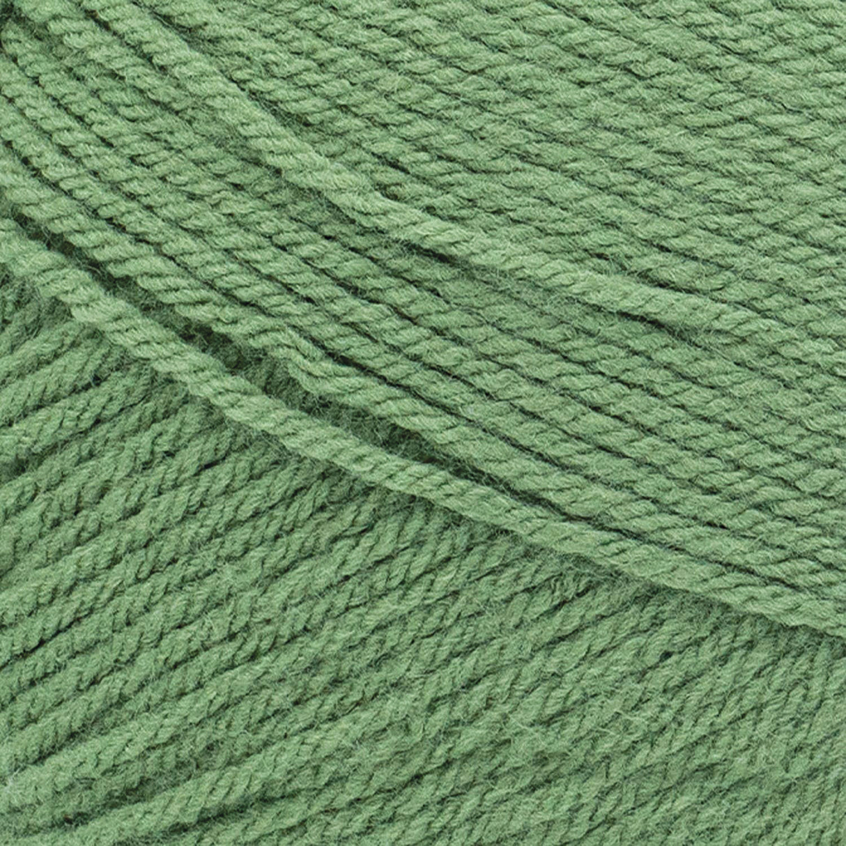 Lion Brand Pound of Love Yarn