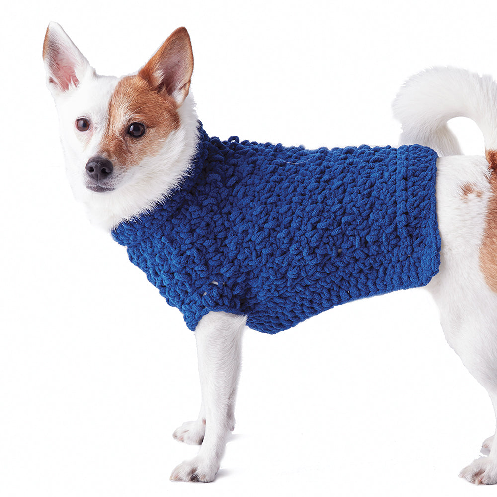 Modèle de manteau de chien au crochet gratuit