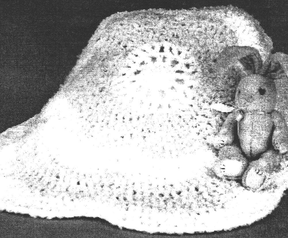 Super Soft Throw Pattern