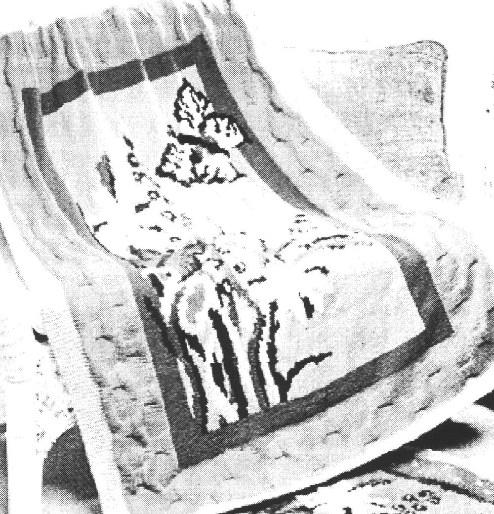 Modèle De Fleurs Sauvages Et De Papillons