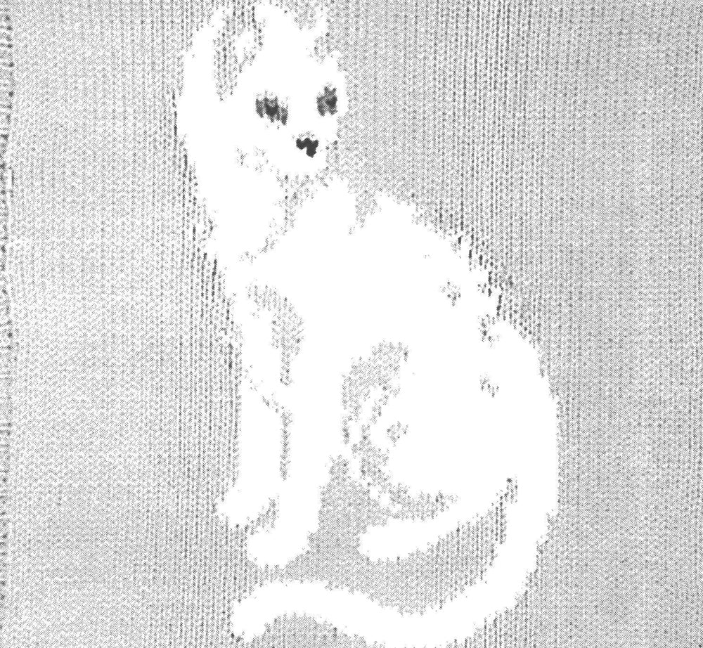 Modèle de pull chat blanc