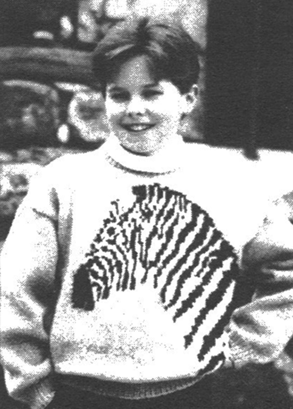 Modèle de pull zèbre