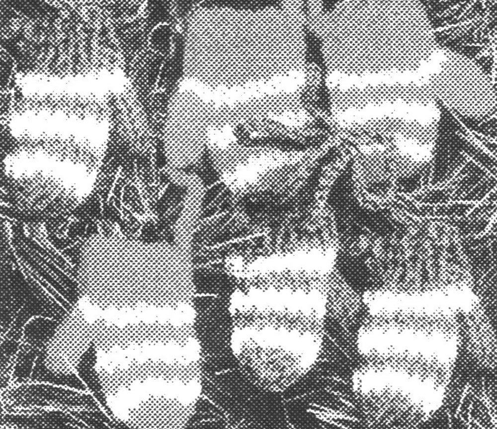 Modèle d'ornements de mitaines