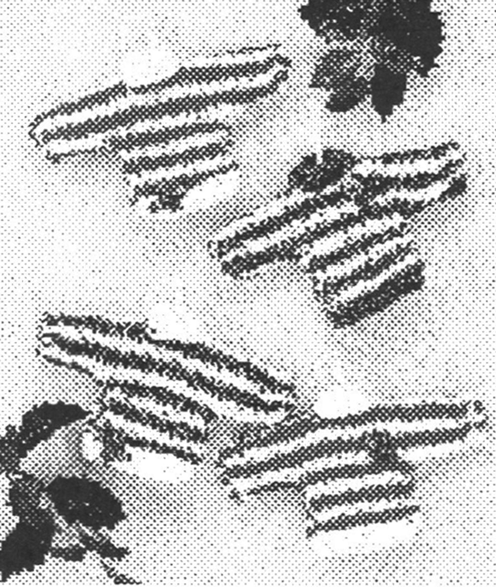 Sweater Ornaments Pattern