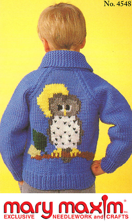 Modèle de hibou de nuit