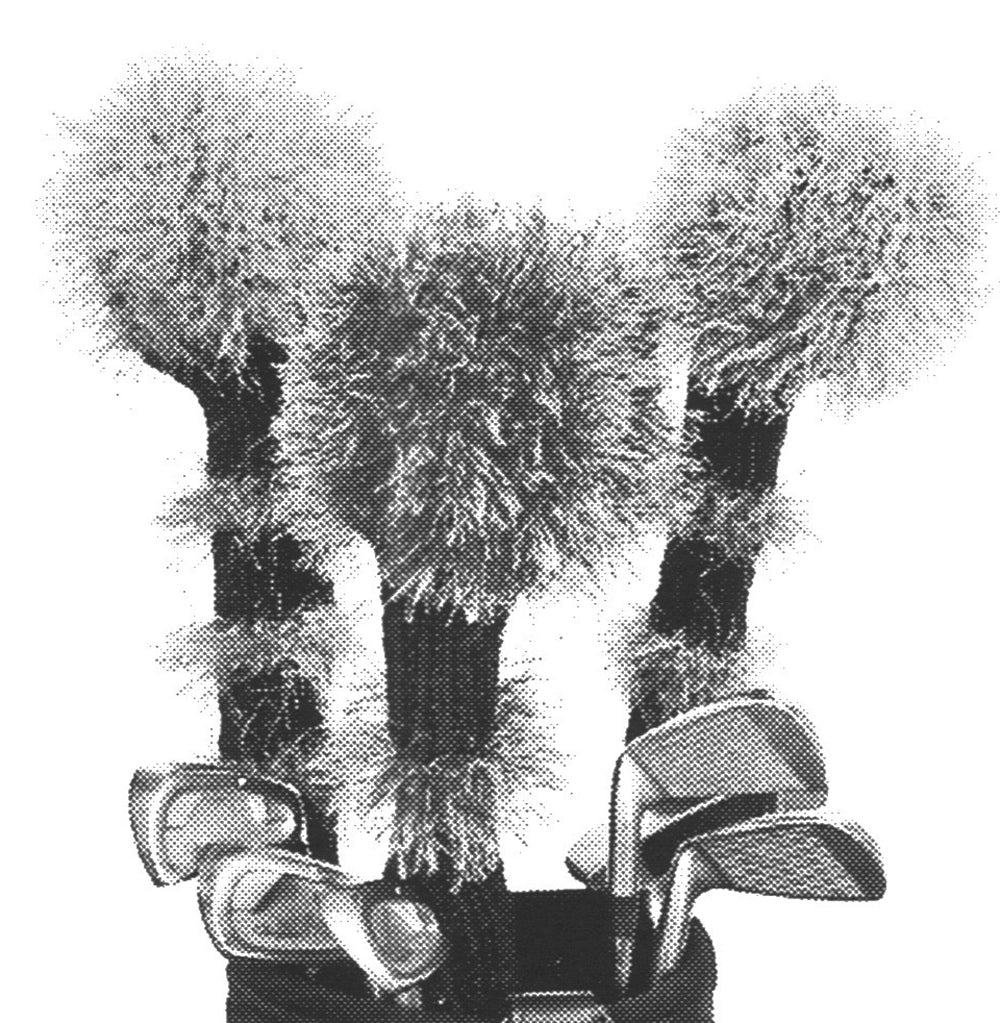 Modèle de couvertures de club de golf loufoque