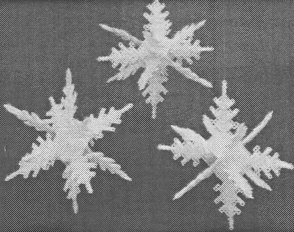 Motif de flocon de neige en toile plastique