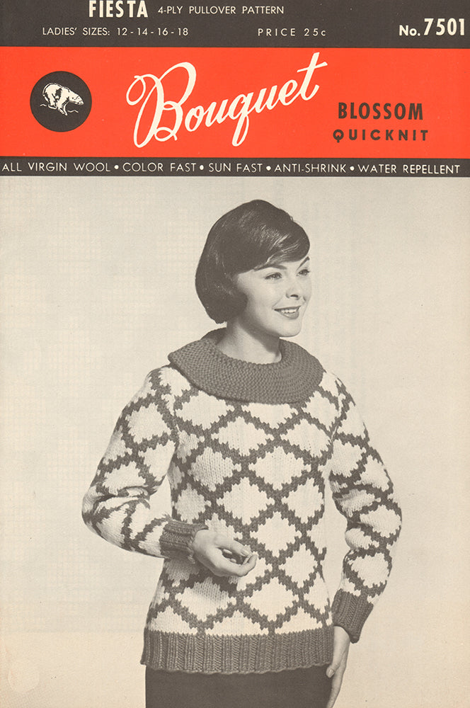 Modèle de pull Fiesta