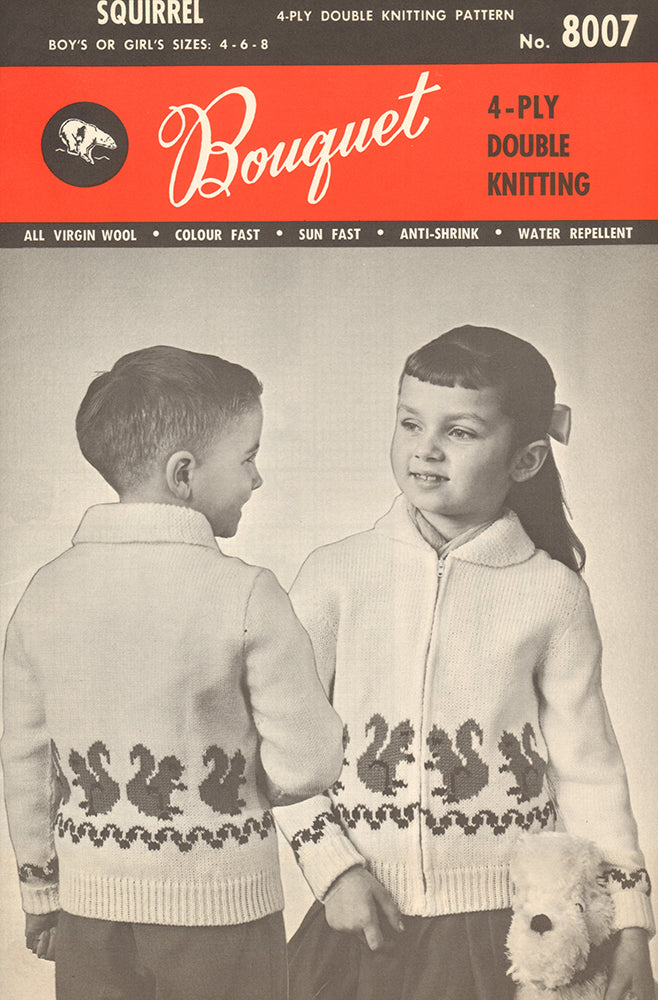 Modèle de pull écureuil