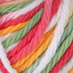 Lily Sugar'n Cream Yarn