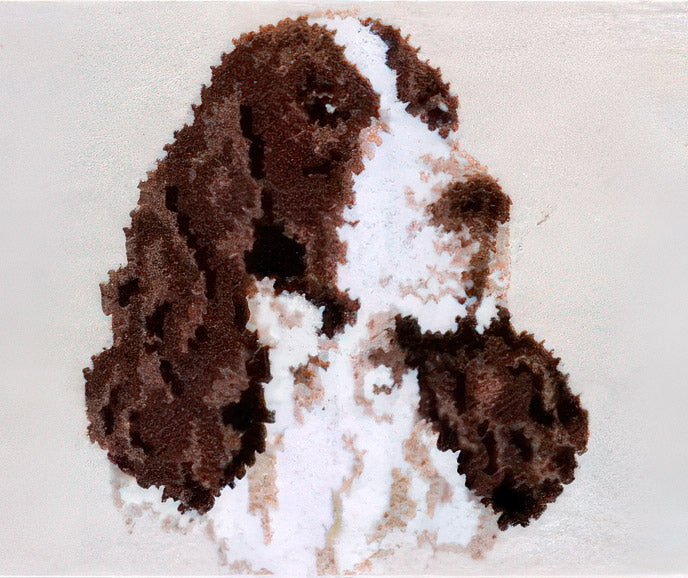 Springer Spaniel Pattern Springer Spaniel Jacket Pattern – Mary Maxim Ltd
