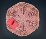 Beach Bag Blanket Pattern