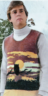 Owl in the Night Slipover Pattern