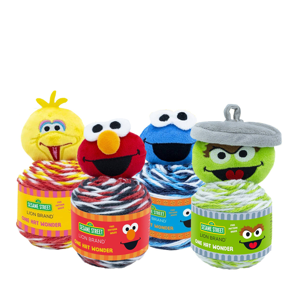 Sesame Street™ One Hat Wonder Yarn - Set of 4