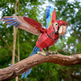 Macaw 3D Bird Puzzle