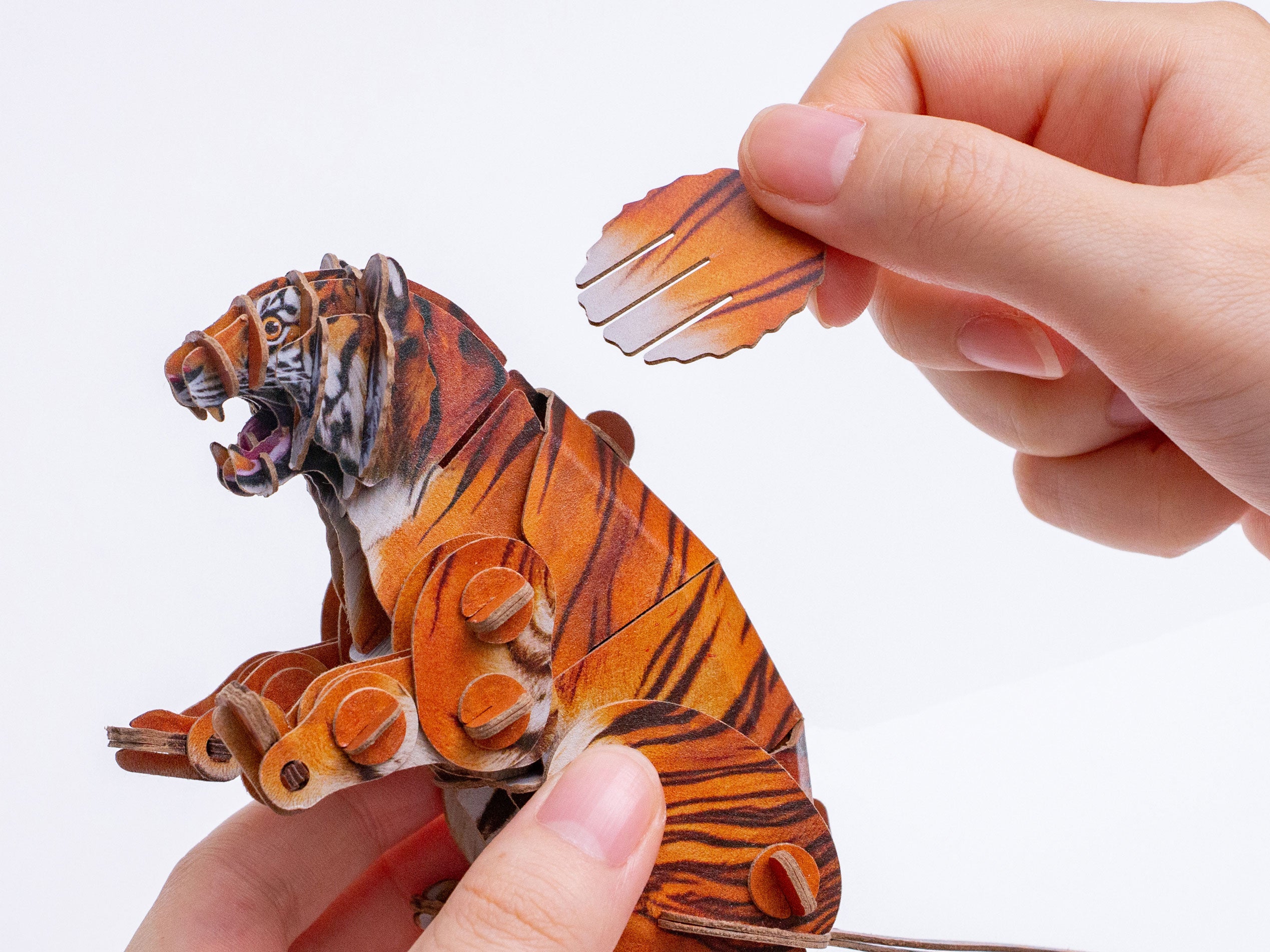 Siberian Tiger Voices of Nature Wood Model Kit – Mary Maxim Ltd