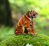 Siberian Tiger Voices of Nature Wood Model Kit