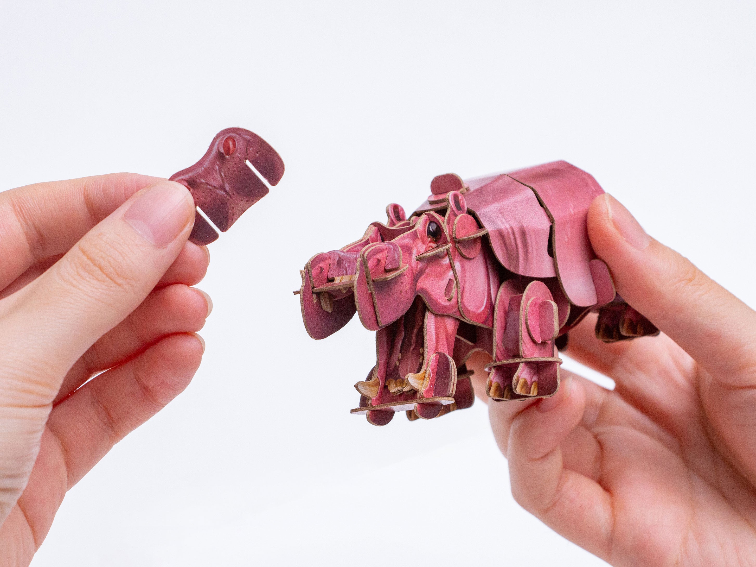 Hippo Voices of Nature Wood Model Kit – Mary Maxim Ltd