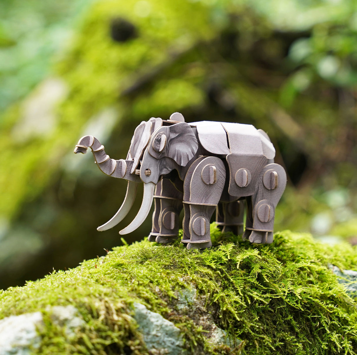 Asian Elephant Voices of Nature Wood Model Kit