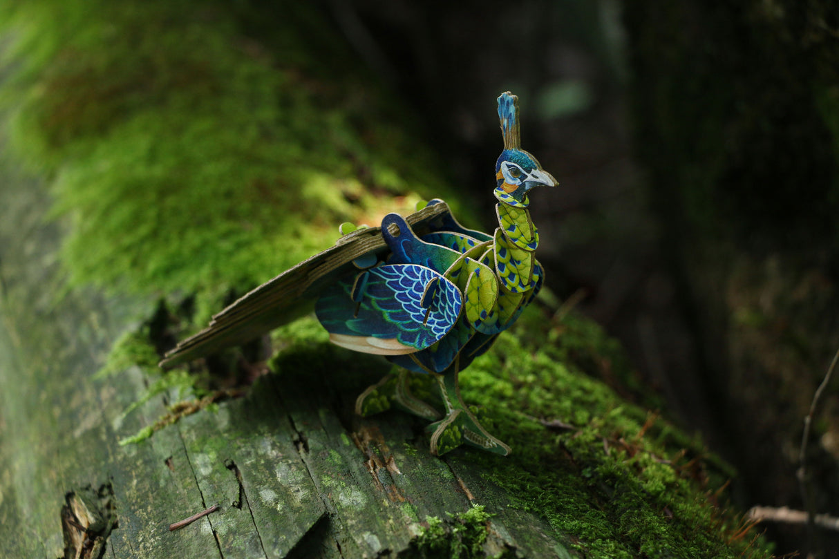 Peacock Voices of Nature Wood Model Kit