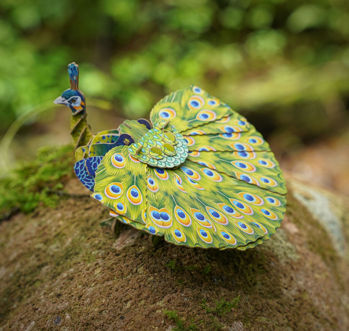 Peacock Voices of Nature Wood Model Kit