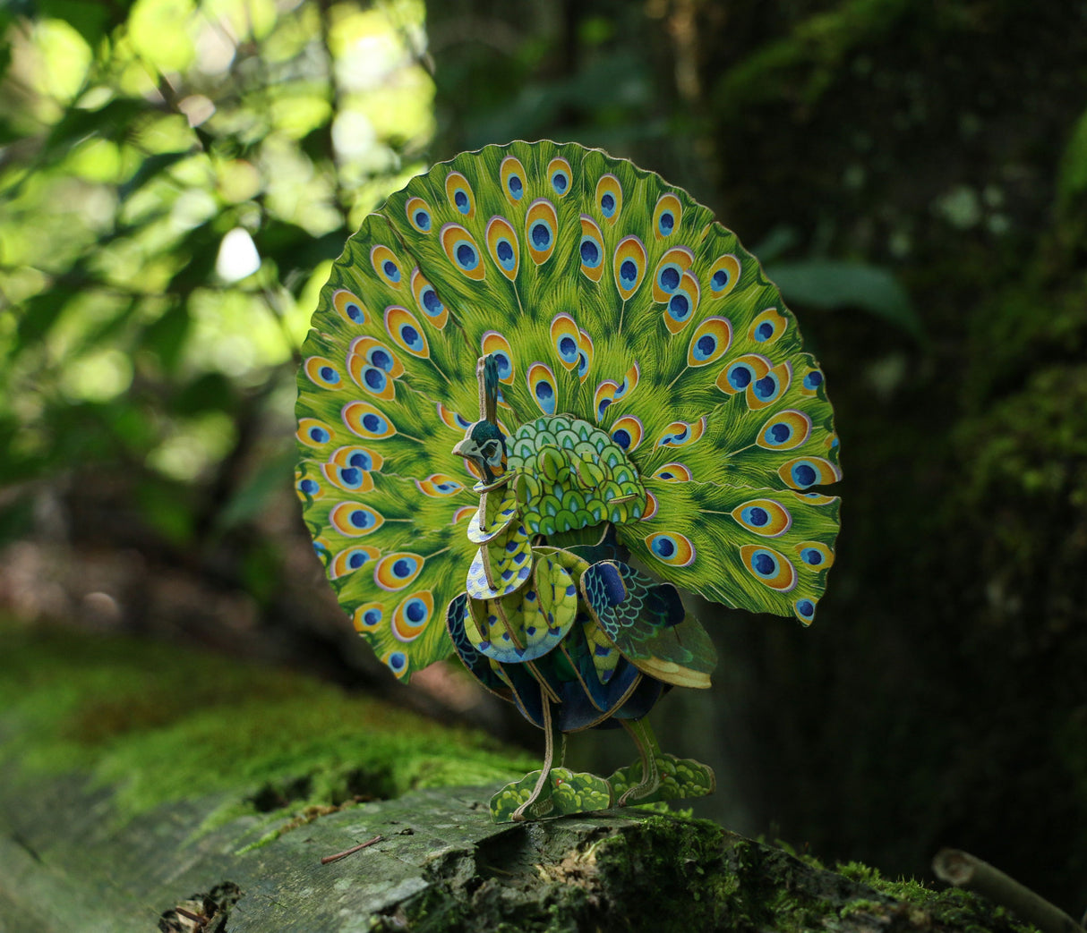 Peacock Voices of Nature Wood Model Kit