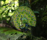 Peacock Voices of Nature Wood Model Kit