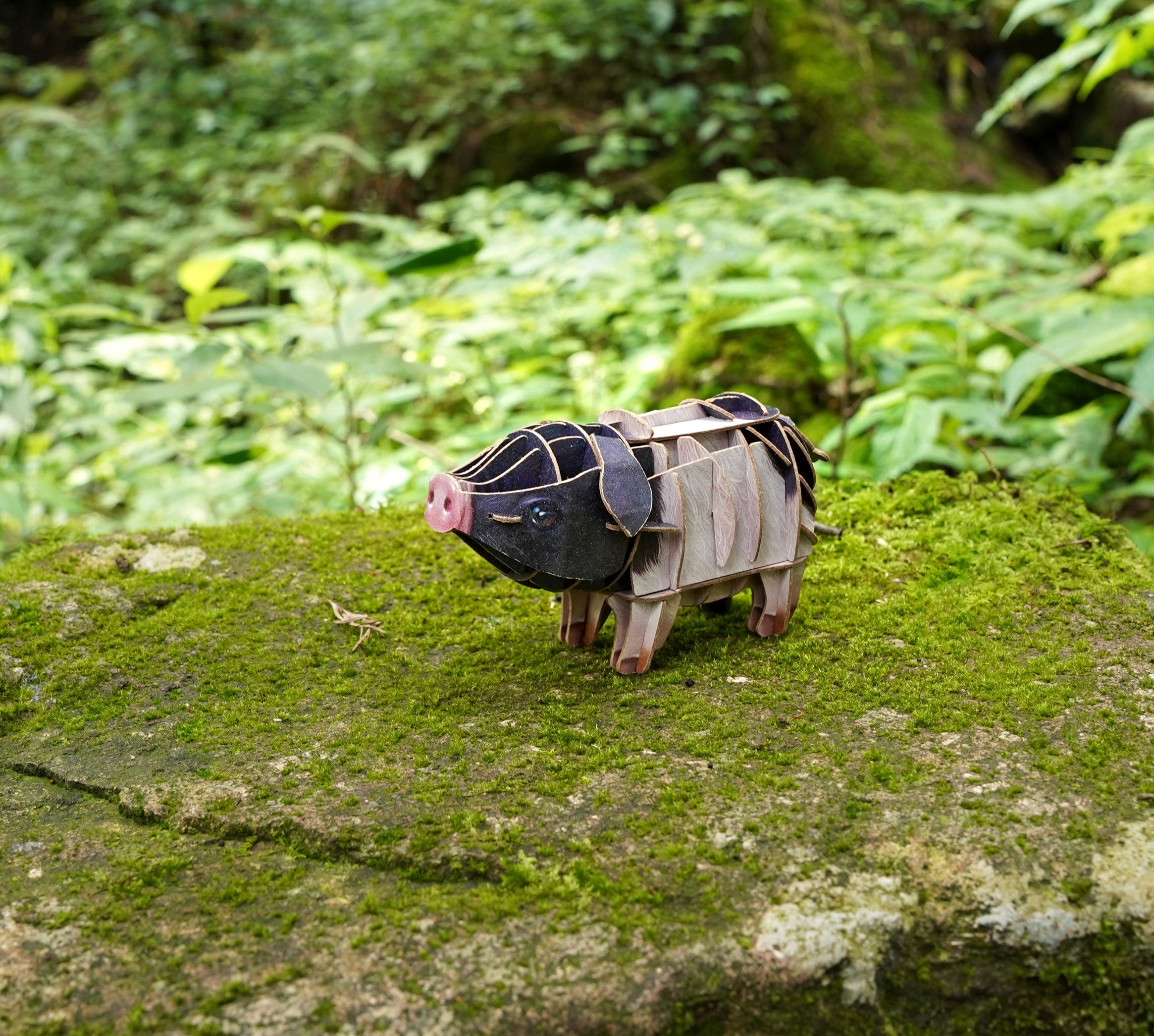 Pig Voices of Nature Wood Model Kit – Mary Maxim Ltd