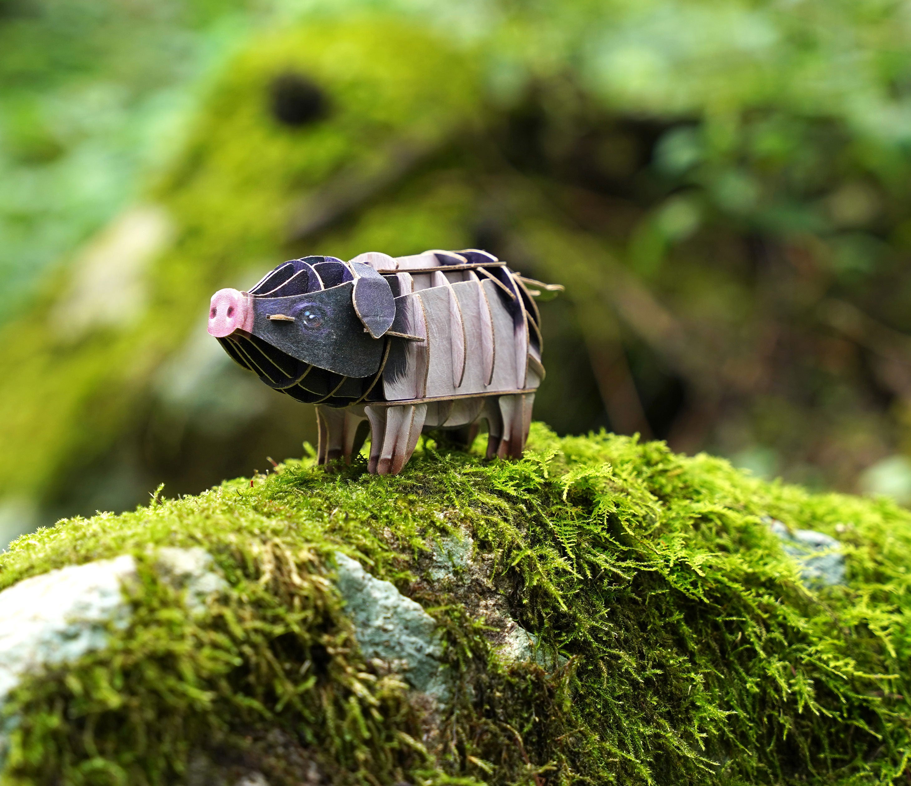 Pig Voices of Nature Wood Model Kit – Mary Maxim Ltd