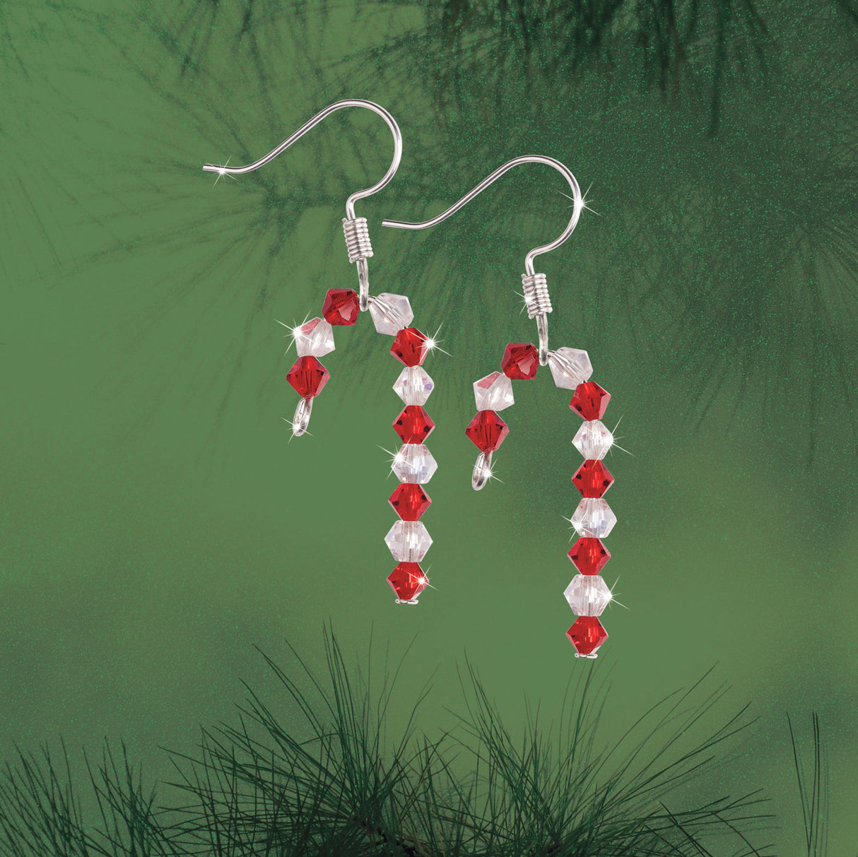 Candy Canes Earring Set
