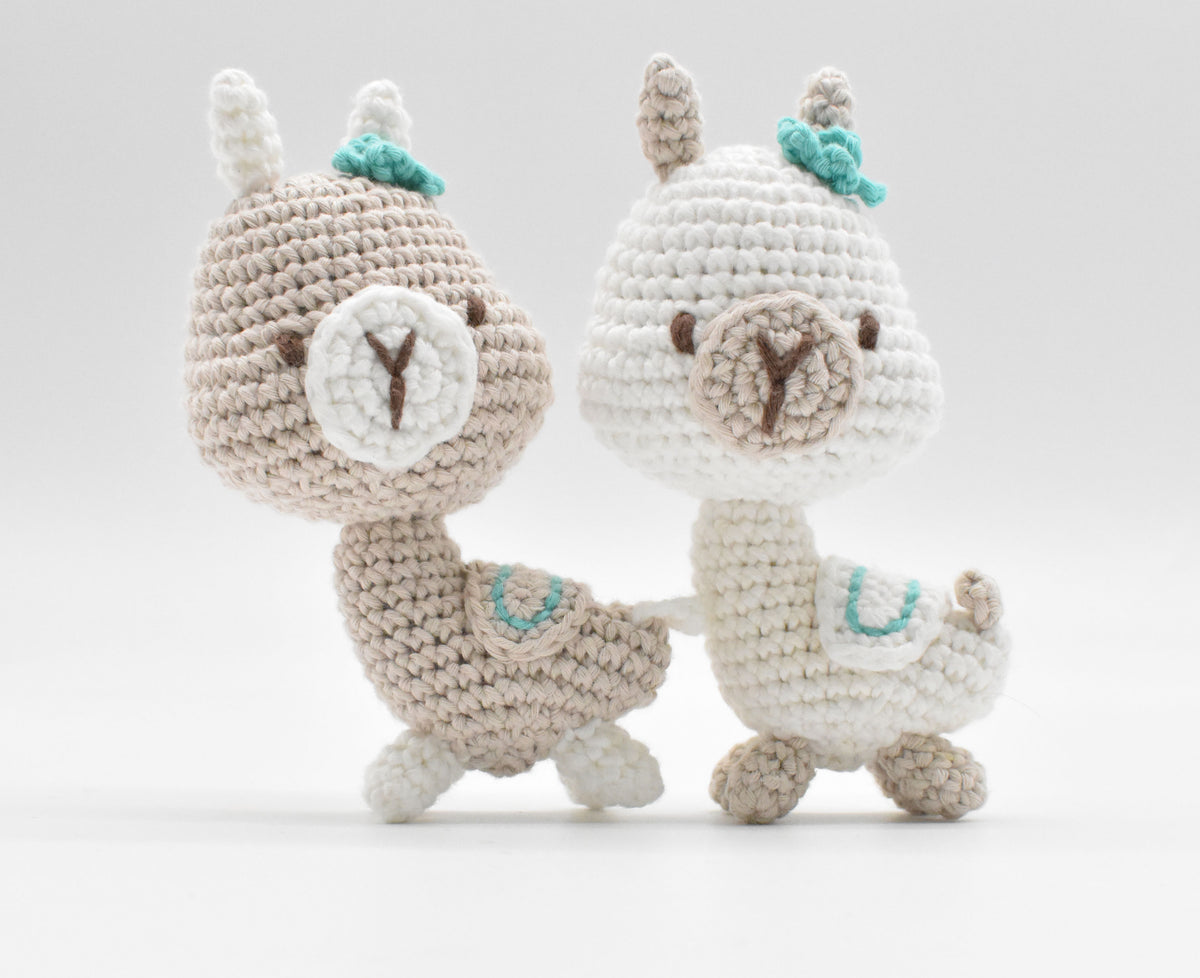 Andes Amitami Crochet Kit