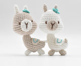 Andes Amitami Crochet Kit