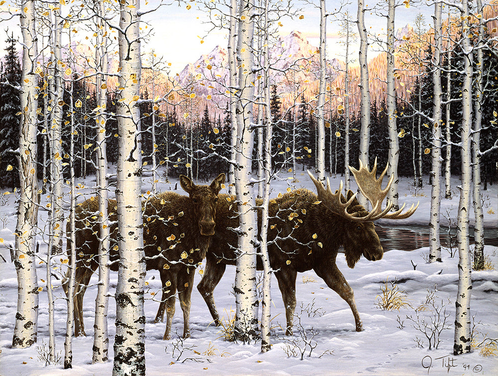 Forest Twilight Jigsaw Puzzle