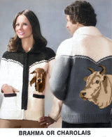 Modèle de cardigan Brahma ou Charolais pour dames ou jeunes