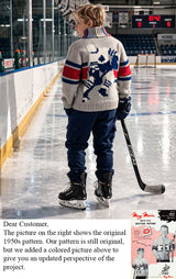 Modèle de cardigan de hockey
