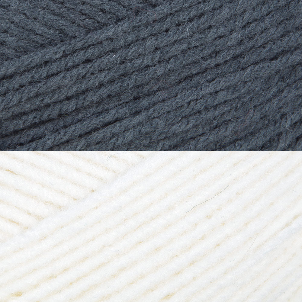 Winter Sentinel Blanket