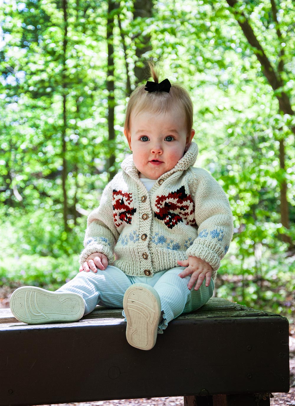 Child's Wolf Cardigan Knit Kit (Project Hail Mary Version)