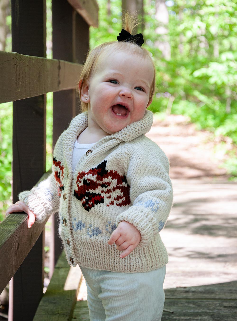 Child's Wolf Cardigan Knit Kit (Project Hail Mary Version)