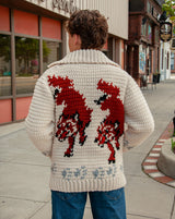 Wolf Cardigan Crochet Kit | Project Hail Mary Fox Sweater