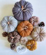 Country Harvest Pumpkins