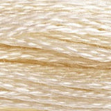 DMC Embroidery Floss _White, Ecru - 471