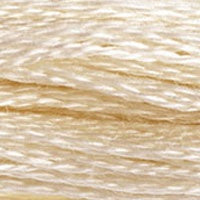 DMC Embroidery Floss _White, Ecru - 471