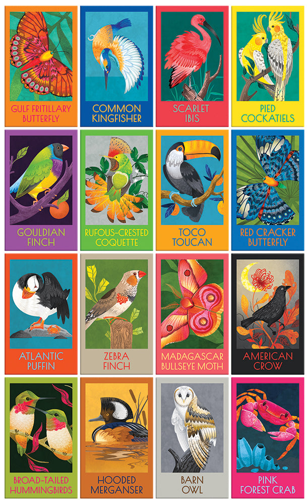Birds, Butterflies & A Crab 16 in 1 Box Set Jigsaw Puzzle