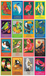 Birds, Butterflies & A Crab 16 in 1 Box Set Jigsaw Puzzle