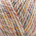 Premier Poppy Yarn
