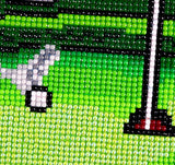 The Golfer Diamond Art Kit