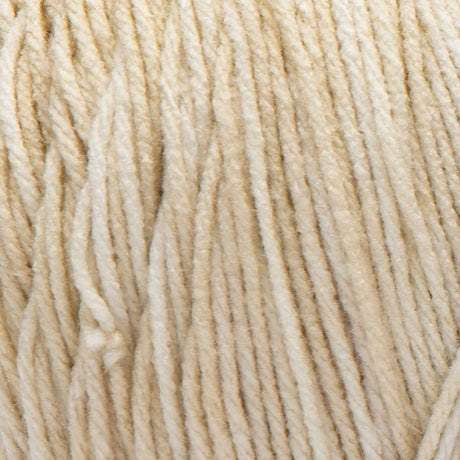 Red Heart Super Saver Ombre Yarn