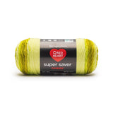 Red Heart Super Saver Ombre Yarn